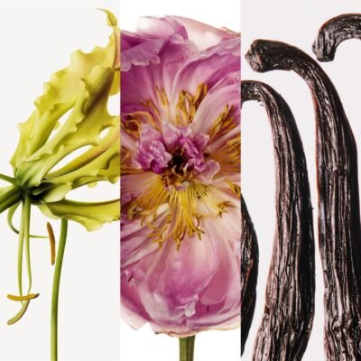 Carolina Herrera Good Girl Blush Tweed Talk, 2025