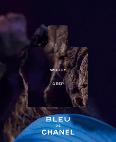 Bleu de Chanel Parfum Chanel for men