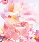 Miss Dior Blooming Bouquet (2023) Dior for women