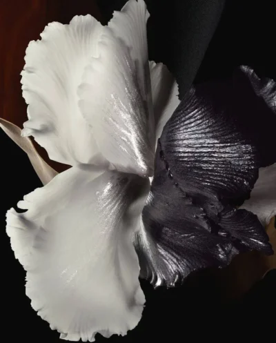 Bois d’Argent Esprit de Parfum Dior for women and men